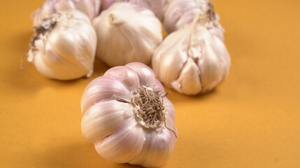 Organic Garlic. Fresh Garlic Cloves and Garlic bulb in wooden basket on yellow background with Pile of garlic or spice. Concept of spices for healthy cooking.