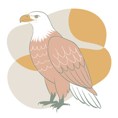 Eagle vector art and design.