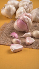 Organic Garlic. Fresh Garlic Cloves and Garlic bulb in wooden basket on yellow background with Pile of garlic or spice. Concept of spices for healthy cooking.