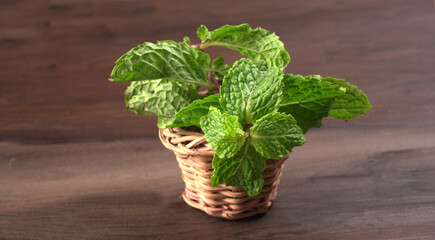 Fresh green mint leaves, Concept healthy diet.