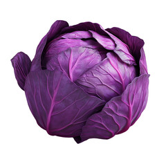 Obraz premium Fresh Purple Cabbage Isolated on Transparent Background for Natural and Organic Food Illustrations