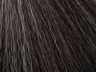 Dark Concrete Texture,Black Background,for web or print