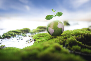 Seedlings born on green globes in the grass. Environmental concept on Earth Day.