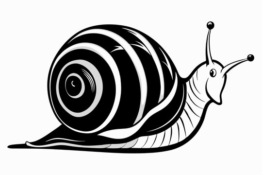 recommend clip art: Snail silhouette vector art illustration