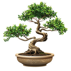 A beautiful bonsai tree with lush green leaves and intricate twisting branches, symbolizing tranquility and natures artistry. 