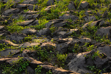 Wet tilled land, waiting to be cultivated with rice, East Java, Indonesia, Southeast Asia