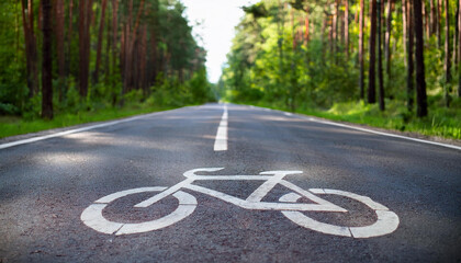 Obraz premium Road in green park with bike lane marked by painted bicycle symbol on asphalt. Active rest concept