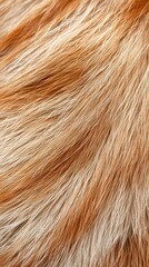 Naklejka premium Animal fur pattern with intricate details, high-resolution photo realistic background, untamed textures.