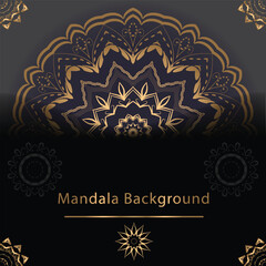 Mandala Line Illustration 