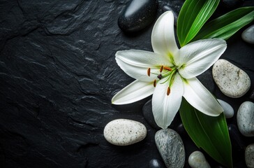 White Lily and Stones
