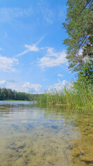 Obraz premium Serene Lake View with Clear Blue Skies and Lush Greenery