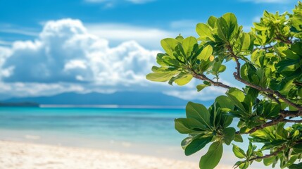 Holiday Background with Natural Plant Elements. Vacation Concept with Beach.