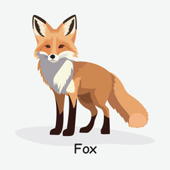 Obraz premium Fox Vector Illustration: Sly Forest Animal