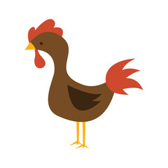 Chicken design vector on white background.