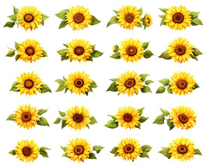 Sunflower clipart design illustration