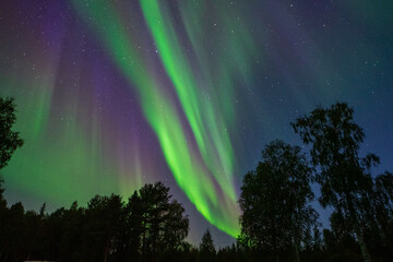 Northern Light in Lapland, Finland