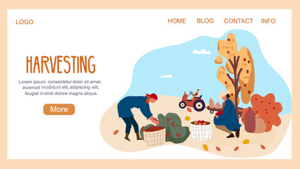 Landing page harvesting, vegetables, fruits. Vector illustration hand drawing isolated on white background.