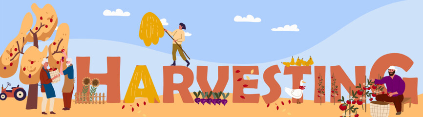 Text harvesting, harvesting fruit, harvesting vegetables. Huge letters, tiny people. Vector illustration, hand drawing.