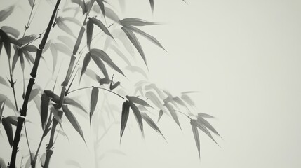 Naklejka premium A detailed Chinese ink painting of bamboo, with graceful stalks and leaves in shades of black and grey. The bamboo is depicted with fine, flowing lines, creating a sense of movement and harmony. The
