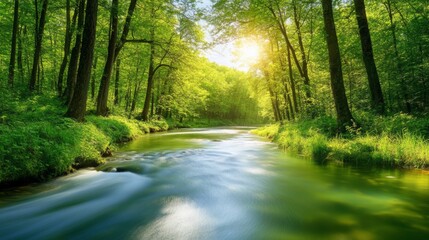 Fototapeta premium A quiet river winding through a dense forest, with tall trees and thick underbrush on either side. The water is clear and smooth, reflecting the green of the surrounding foliage. Sunlight filters