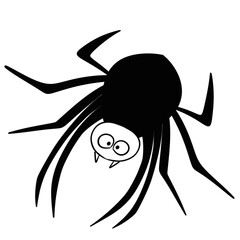  spider drawn in doodle style