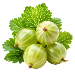 Delicious Gooseberry isolated on transparent background