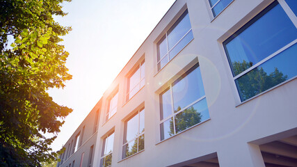 Eco building or green office plant tree and garden in city concept. Eco architecture. Green tree and office building. The harmony of nature and modernity.