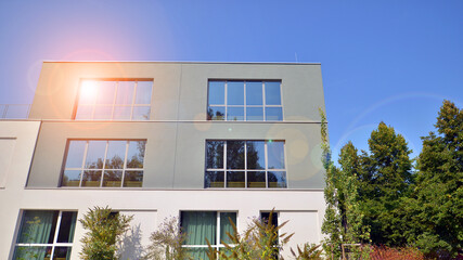 Eco building or green office plant tree and garden in city concept. Eco architecture. Green tree and office building. The harmony of nature and modernity.