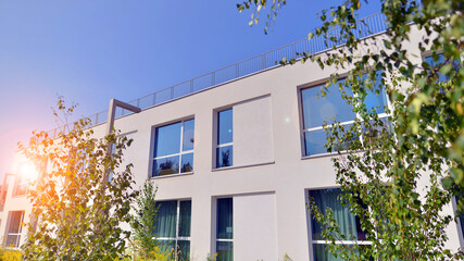 Eco building or green office plant tree and garden in city concept. Eco architecture. Green tree and office building. The harmony of nature and modernity.