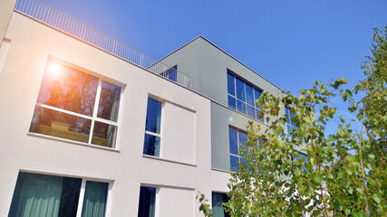 Eco building or green office plant tree and garden in city concept. Eco architecture. Green tree and office building. The harmony of nature and modernity.