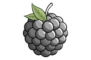 A blackberry for coloring book vector art illustration