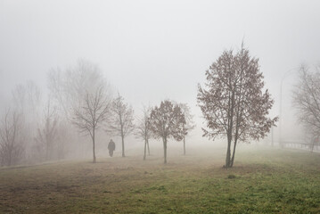 Obraz premium Man silhouette walking on a foggy, spring morning