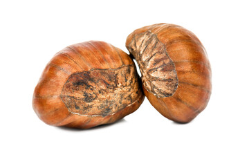 Two ripe chestnut on white background