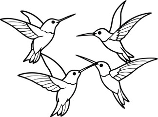 Obraz premium hummingbird and flower