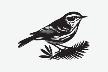 Sparrow Bird vector art  and  illustration