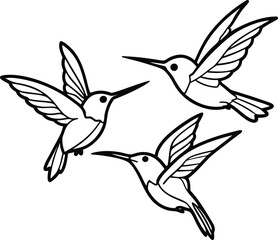 hummingbird and flower