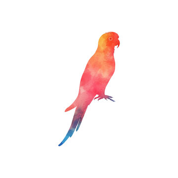 recommend clip art: abstract color silhouette of cockatoo vector illustration in watercolor style
