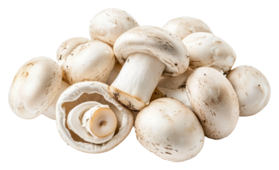 Fresh white mushrooms on a textured surface isolated on transparent background