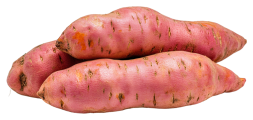Fresh sweet potatoes isolated on transparent background