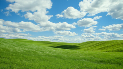 Rolling Green Hills: A serene landscape unfolds under a clear blue sky, dotted with fluffy white clouds. The gentle rolling hills, a vibrant green canvas, evoke a sense of tranquility and peace. 