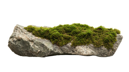 A moss-covered rock showcasing nature's beauty and tranquility, perfect for environmental and outdoor themes.