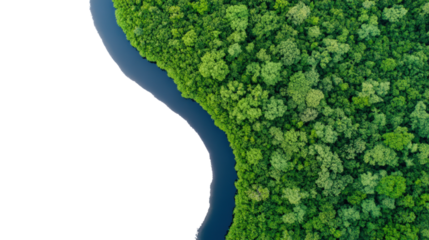 Aerial view of a vibrant green forest along a winding river, showcasing nature's beauty and tranquility in untouched wilderness.
