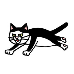 ハチワレネコ　イラスト