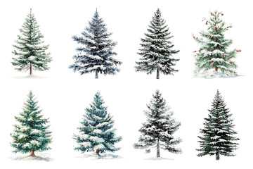 Fototapeta premium PNG watercolor Christmas tree design element set, transparent background