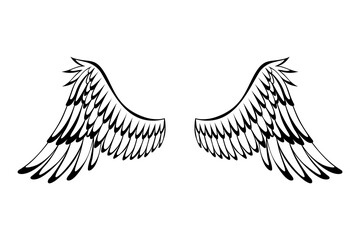 Obraz premium Wings sketch. Stylized birds wings. Hand drawn contoured stiker wing in open position. Vector design elements in coloring style