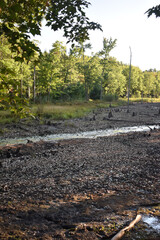 Marais Kingsbury 1 Septembre 2024