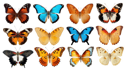 PNG vibrant butterfly design element set, transparent background