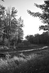 Marais Kingsbury 1 Septembre 2024