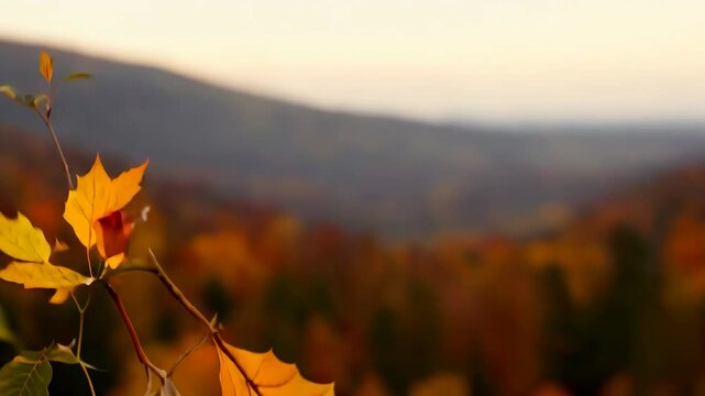A close-up of a single orange leaf swaying in the breeze, revealing a forest in full autumn bloom under soft lighting.