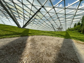 Green lawn under the dome